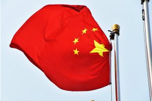 中非武装组织发生交火！中国4家私营矿企遭到抢劫 外交部：不排除再暴动提醒中国公民加强防范